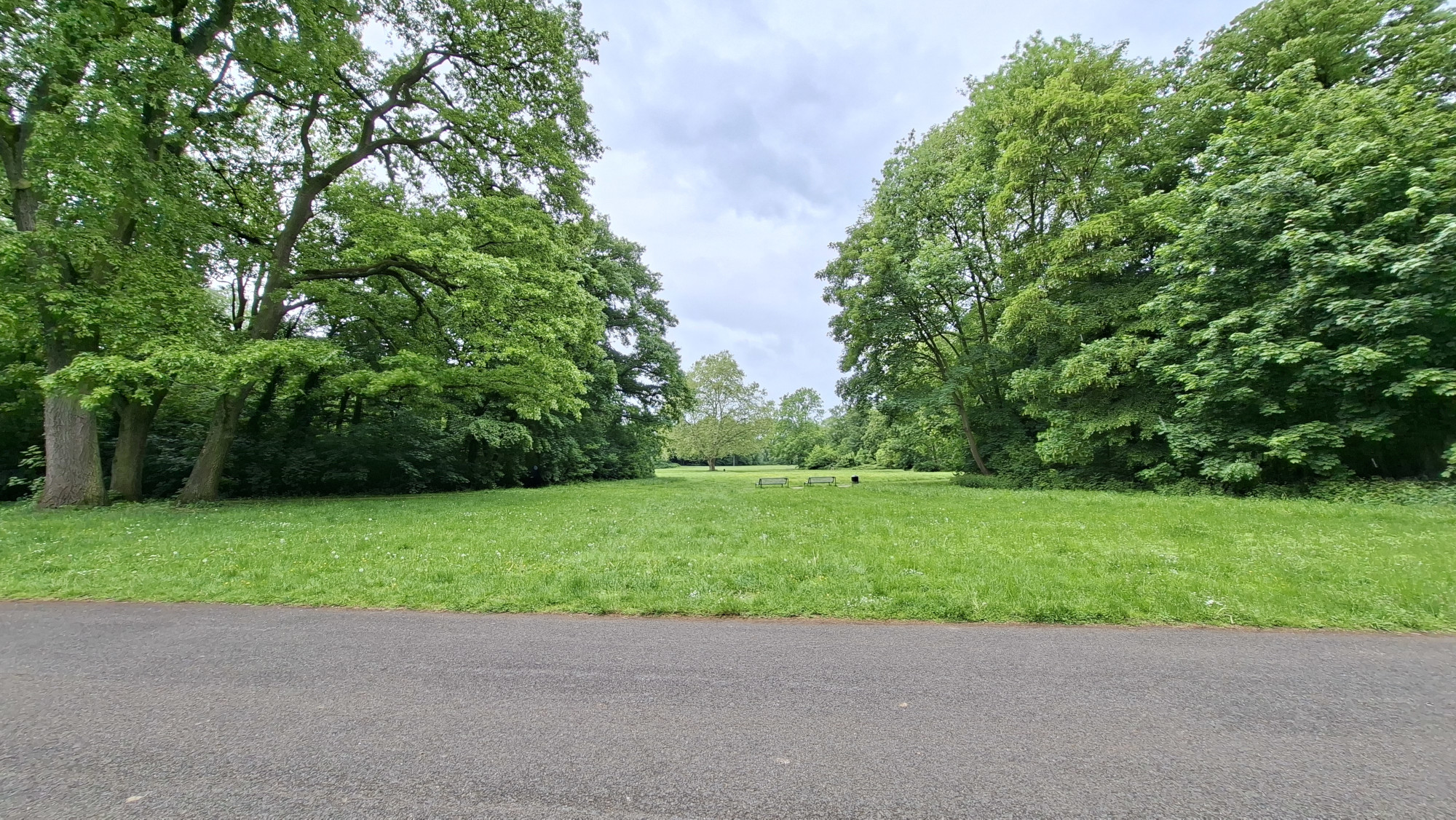 Koeln Braunsfeld Stadtwald